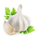 Garlic Benefits For Health APK
