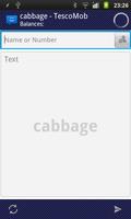 Poster WebSMS: Cabbage Connector