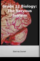 Grade 12 Biology: Nervous Sys Affiche