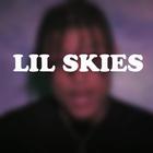 Lil Skies - Signs Of Jealousy icône