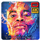 Anderson Silva UFC Wallpaper ไอคอน