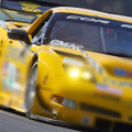 Fans Wallpaper Of ChevroletC5R