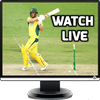 Live Cricket TV Streaming ícone