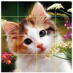 Puzzle Cute Cats - Tile Puzzle