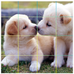 ”Puzzle Cute Dog - Sliding Puzz