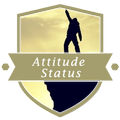 Attitude