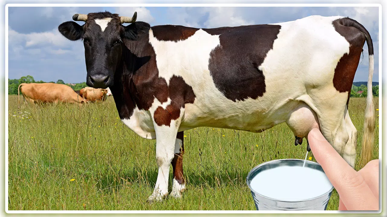 الحليب البقر آخر لعبة APK للاندرويد تنزيل