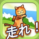 Meow Runner aplikacja