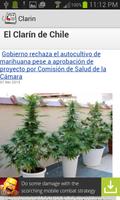 Chile News скриншот 1