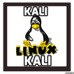 Learn Kali Linux Free