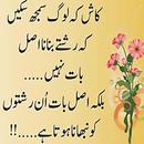 Sad Poetry & SMS Urdu APK