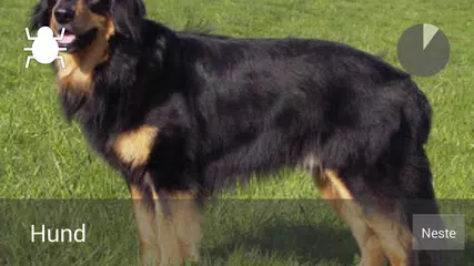 Mimeleon APK download