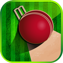 Bing Bong Cricket APK