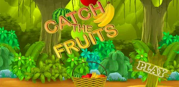 Fruits Catch