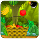 Fruits Catch APK