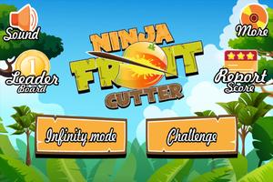 Ninja Fruit Cutter Affiche