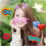 Cat Face 图标