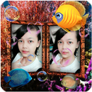 Photo Aquarium Live Wallpaper APK