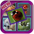 Quiz World - Fauna Game icon