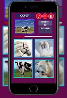 Quiz World - Fauna Game imagem de tela 3