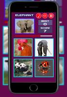 Quiz World - Fauna Game Affiche