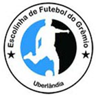 Escolinha de Futebol do Grêmio Uberlândia icône