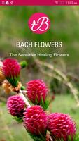 Bach Flower Remedies plakat