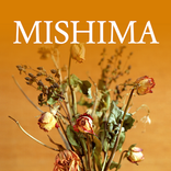 Mishima APP Oficial