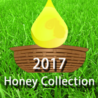 2017 honey collection icône