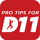 Team Prediction For Dream11 APK