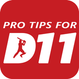 Team Prediction For Dream11 biểu tượng