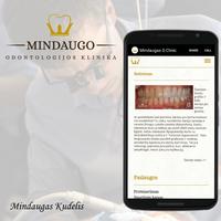 Mindaugas Dental Clinic ảnh chụp màn hình 3