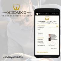 Mindaugas Dental Clinic captura de pantalla 2