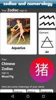 Zodiac and Numerology 截图 3