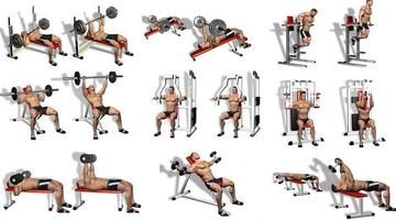 Best Chest Workout Free poster