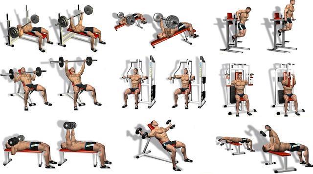 Best Chest Workout Free for Android APK Download
