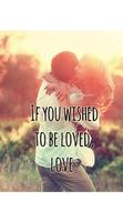 Love Picture Quotes Collection HD تصوير الشاشة 3