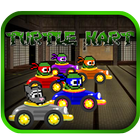 turtle kart ไอคอน
