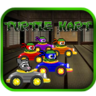 ikon turtle kart