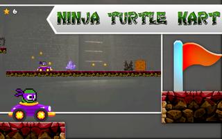 turtle kart اسکرین شاٹ 2
