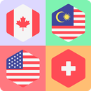 Guess the Flags APK