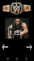 wwe champions Affiche