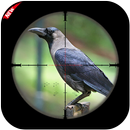 Wild Crow Hunting Sniper 18 APK