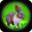 Jungle Rabbit Hunting Master