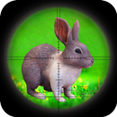 Maître de chasse de lapin de la jungle APK