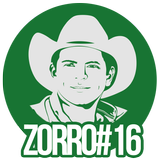 Zorro icône