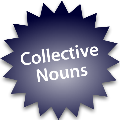 Collective Nouns