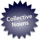 Collective Nouns APK