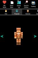 Skin Editor For Minecraft 3D screenshot 1