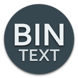 Icona BinText Converter
